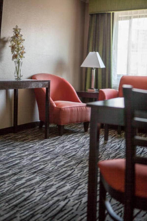 Family Suite,650959452:JPEG